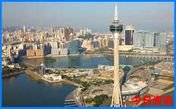 33是什么生肖号码